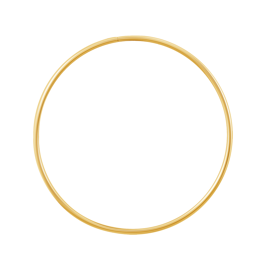 фото и цена Золотые серьги-кольца 5